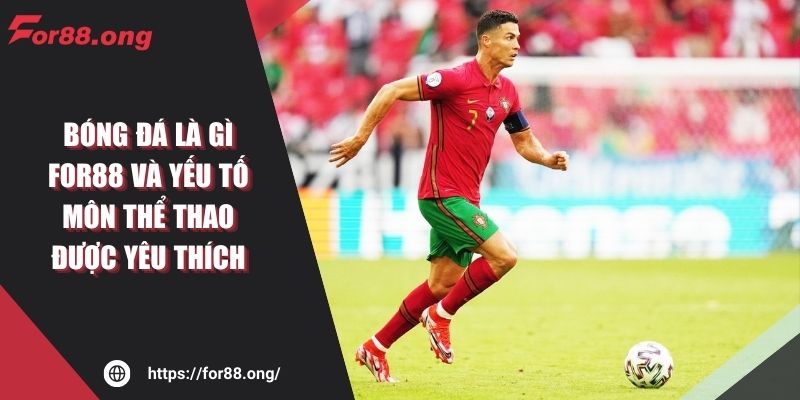 Bóng Đá Là Gì FOR88 Và Yếu Tố Môn Thể Thao Được Yêu Thích